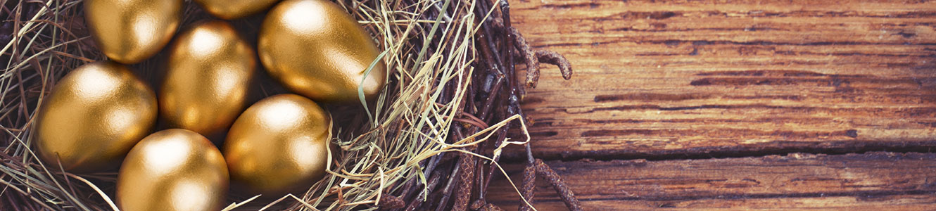 Golden Eggs in a nest